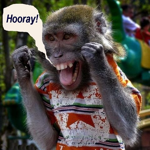 happymonkey