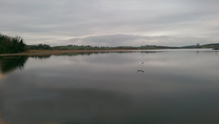 20170312 Lough Cowey (13)